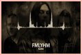 
                    Seether
                     – 
                    FMLYHM lyrics
                