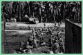 WWII's Most Daring Raids - Smithsonian Channel